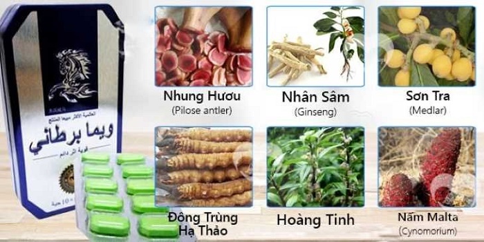 Công dụng của ngựa tháii