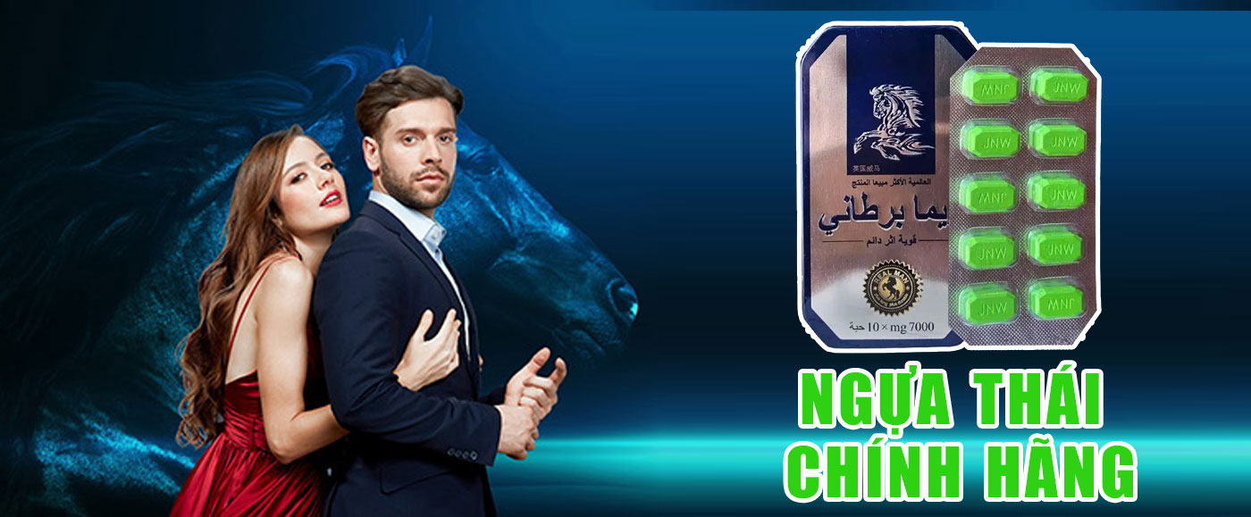 Ngựa thái chính hãng